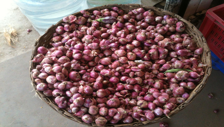 How Spiralling Onion Prices will Make People Weep in Modified India?