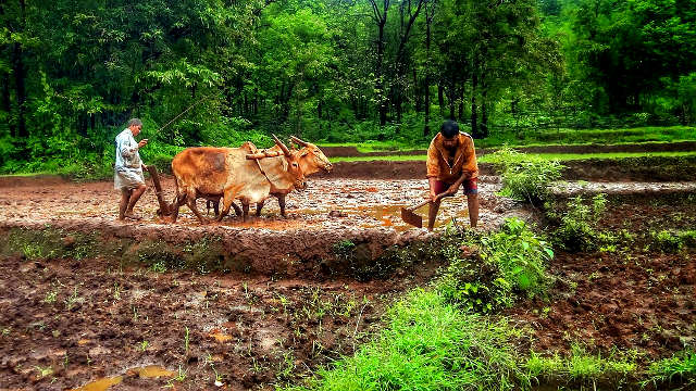 MSP increase by Narendra Modi government on 14 Kharif crops is a measure to dupe farmers