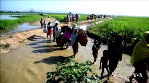 Indian repression against Rohingya refugees is a shameful act