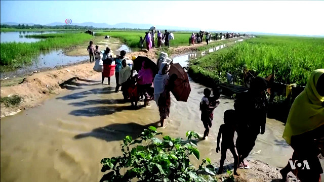 Indian repression against Rohingya refugees is a shameful act