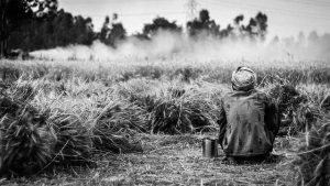 Farmers’ suffering due to lockdown intensify in UP due to lack of wheat MSP