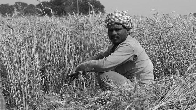 Extension of the 21-day lockdown and agriculture