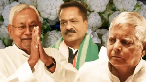 Who exactly is the culprit behind the 'cauliflower farming' meme in Bihar? Why is the BJP's hyping of the issue quite an irony?