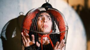 No one forces you to check your phone. So why does modern life still feel like a cage? An essay on freedom, self-discipline and Max Weber.